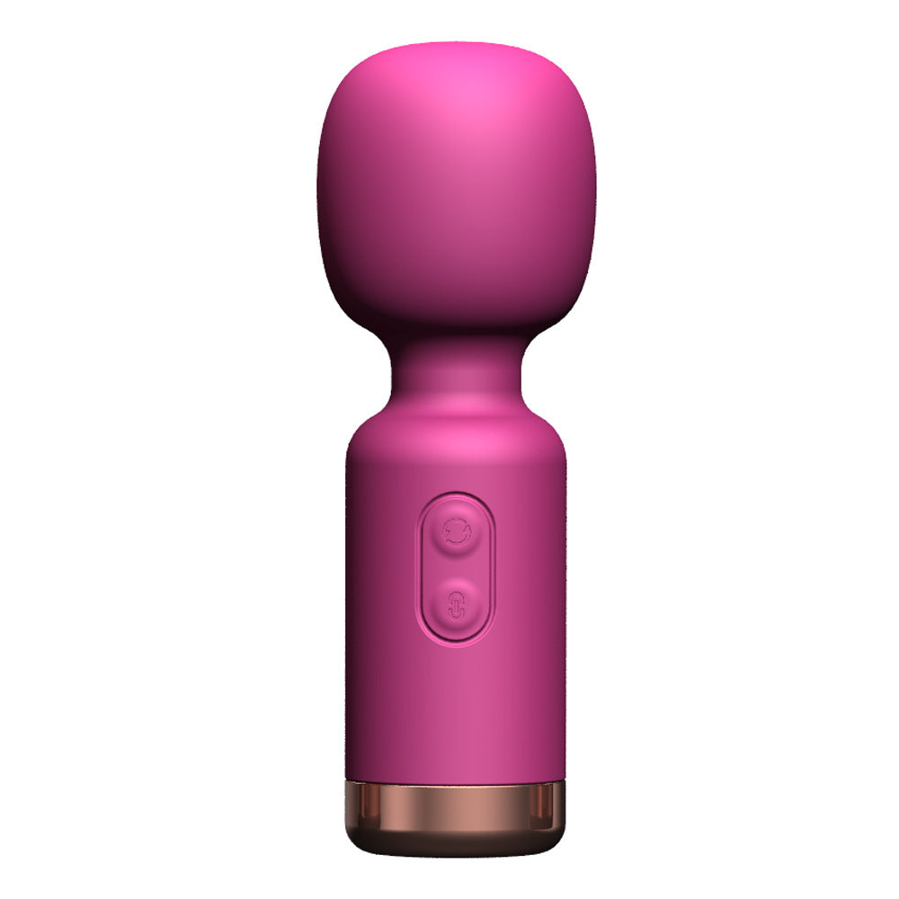 Mini Clitoris Vibrator - Various Colours