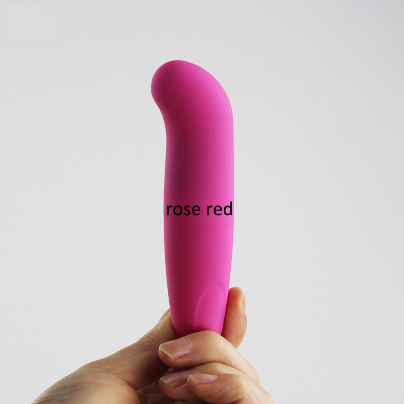 Starter Mini Bullet Vibrator
