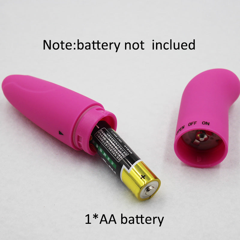Starter Mini Bullet Vibrator